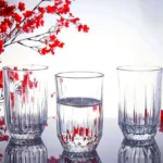 لیوان پاشاباغچه مدل اکو 520272 - Echo 250 ست 6 عددی اصل ترکیه